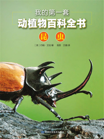 我的第一套動植物百科全書：昆蟲