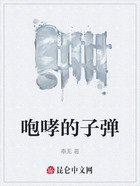咆哮的子弹在线阅读