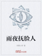 雨夜撫臉人在線閱讀
