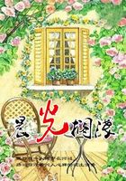晨光搁浅在线阅读