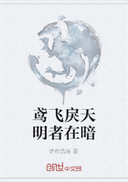 鸢飞戾天明者在暗在线阅读
