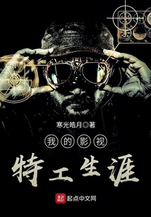 我的影視特工生涯