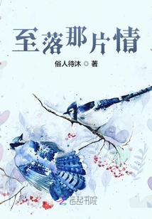 至落那片情