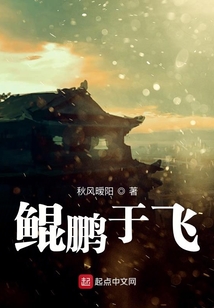 鲲鹏于飞
