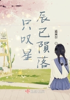 只嘆星辰已隕落在線閱讀