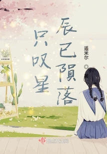 只嘆星辰已隕落