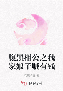 腹黑相公之我家娘子贼有钱