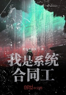 我是系统合同工