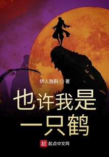 也許我是一只鶴