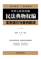 中华人民共和国民法典物权编实务指引与案例解读（上册）