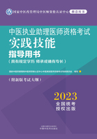 2023中医执业助理医师资格考试实践技能指导用书（具有规定学历 师承或确有专长）在线阅读