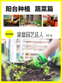 陽臺種植：蔬菜篇