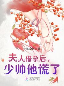 夫人借孕后，少帥他慌了