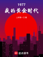 1977,我的黄金时代在线阅读