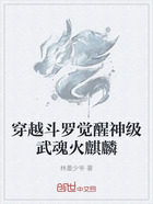 穿越斗罗觉醒神级武魂火麒麟在线阅读
