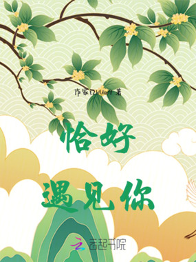 恰好遇见你在线阅读