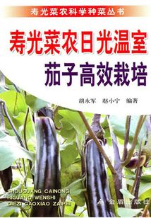 壽光菜農(nóng)日光溫室茄子高效栽培