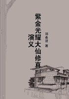紫金光耀大仙修真演義在線閱讀