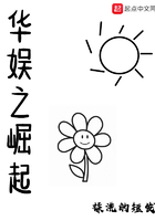 華娛之崛起在線閱讀