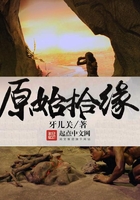 原始拾缘在线阅读