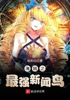 海贼之最强新闻鸟