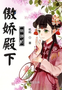傲嬌殿下萌醫妃