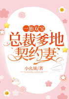 一胎双宝:总裁爹地契约妻在线阅读