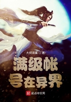 滿級帳號在異界在線閱讀