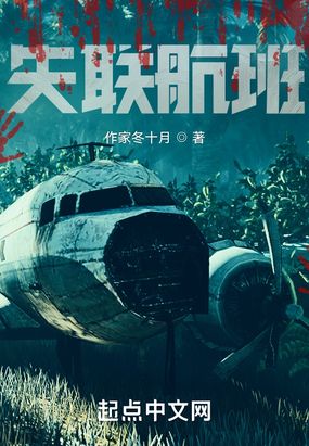 失联航班在线阅读