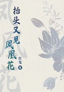 抬头又见凤凰花