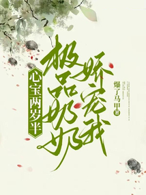 心寶兩歲半:極品奶奶嬌寵我