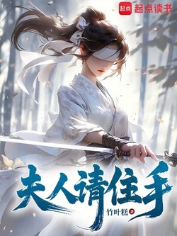 夫人请住手 封面