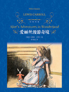 爱丽丝漫游奇境（经典译林）在线阅读