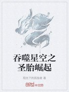 吞噬星空之圣胎崛起在线阅读