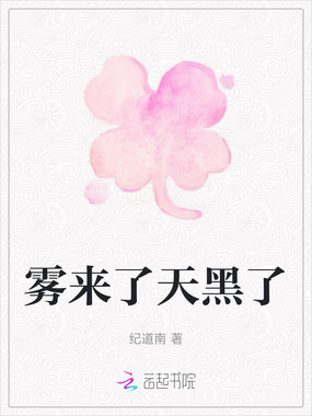 雾来了天黑了在线阅读