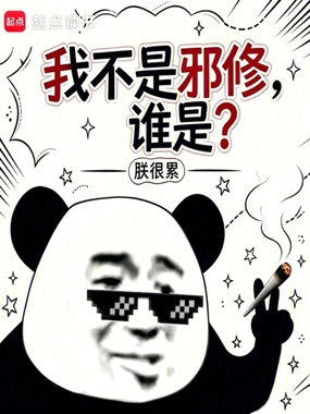 我不是邪修,谁是?在线阅读