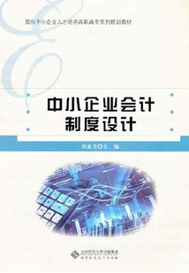中小企業會計制度設計