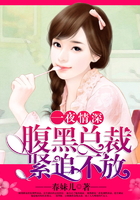 一夜情深,腹黑总裁紧追不放在线阅读