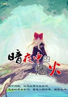 暗夜中的煙火在線閱讀