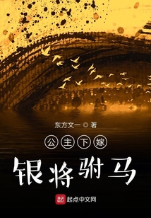 公主下嫁銀將駙馬