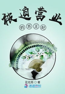 被迫营业的苏王妃