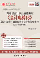 青海省会计从业资格考试《会计电算化》【教材精讲＋真题解析】讲义与视频课程【20小时高清视频】