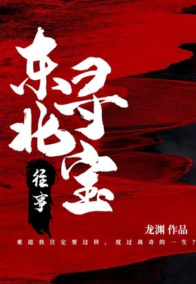 东北寻宝往事在线阅读