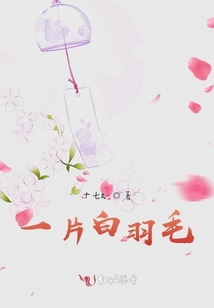一片白羽毛