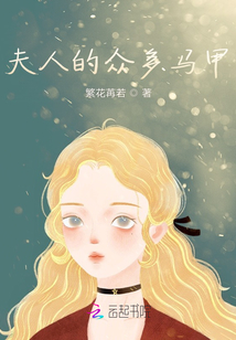 夫人的眾多馬甲