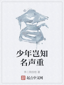 少年豈知名聲重