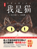 我是猫