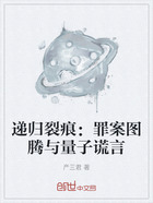 递归裂痕：罪案图腾与量子谎言在线阅读