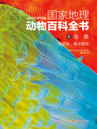 鸟类:咬鹃类·佛法僧类(国家地理动物百科全书)在线阅读