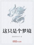 这只是个梦境在线阅读